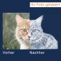 Preview: 3D Laser Foto im VIAMANT Quader