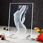Preview: 2D Laser Foto im VIAMANT Flachglas