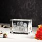 Preview: 3D Laser Foto im VIAMANT Quader
