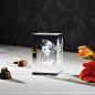 Preview: 3D Laser Foto im VIAMANT Quader