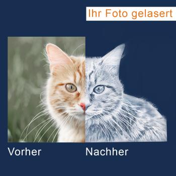 3D Laser Foto im VIAMANT Quader