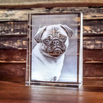2D Laser Foto im PRISMA Hochformat