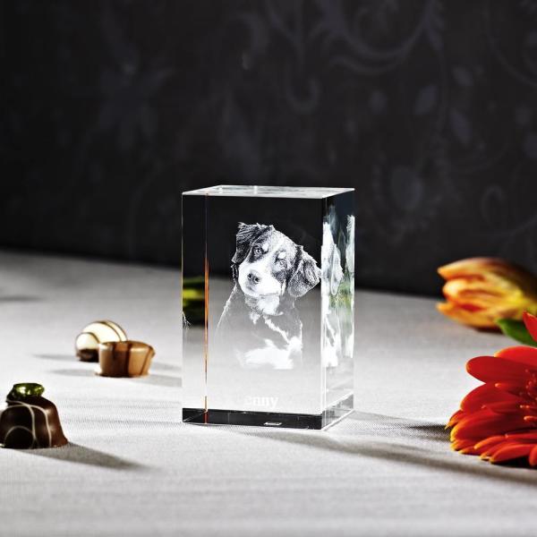 3D Laser Foto im VIAMANT Quader