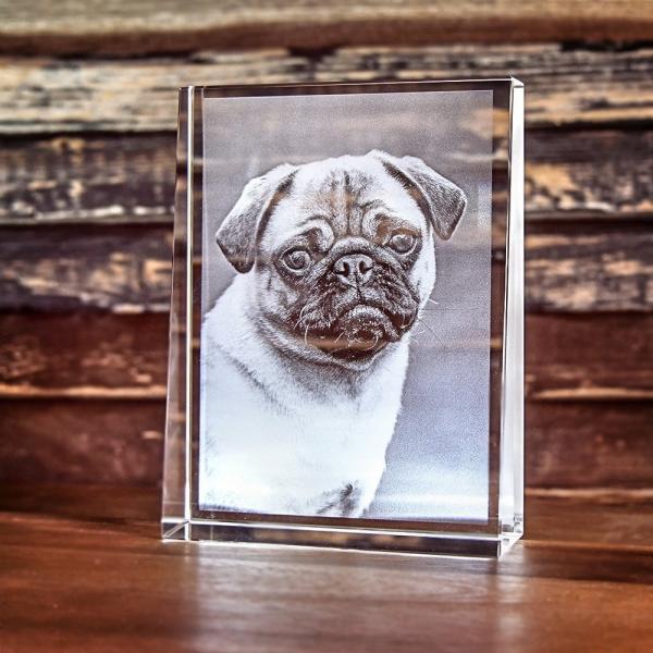 2D Laser Foto im PRISMA Hochformat